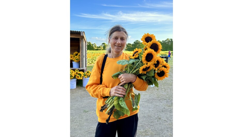 Pick your own sunflowers
