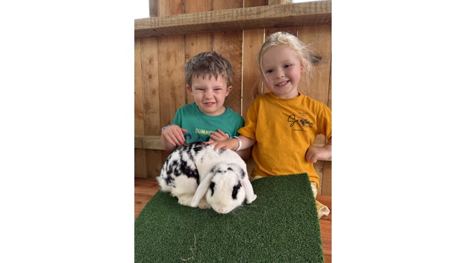 Bunny cuddles at the Butterfly House