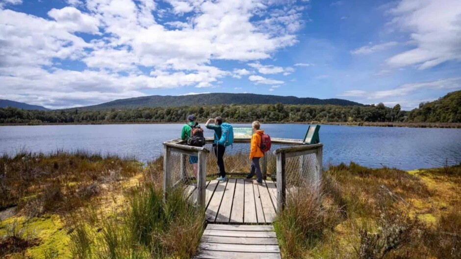 Trips and Tramps: Kepler Track Hike Wetlands, Fiordland National Park