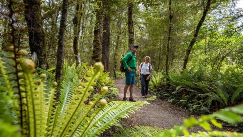 Trips and Tramps: Jet Boat Kepler Track Hike, Fiordland National Park