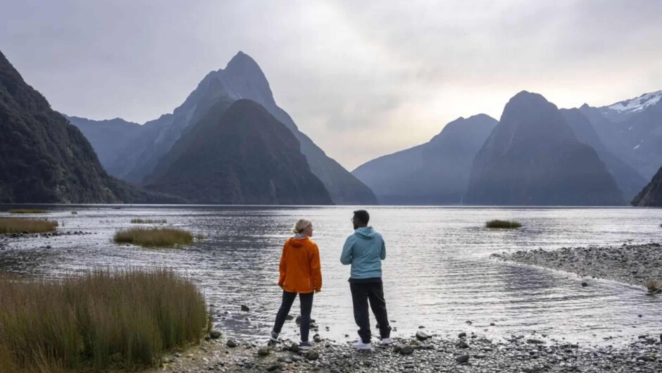 Trips and Tramps: Milford Sound, Fiordland National Park