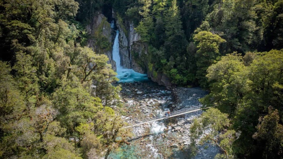 Trips and Tramps: Milford Track Giant Gate Day Walk, Fiordland National Park