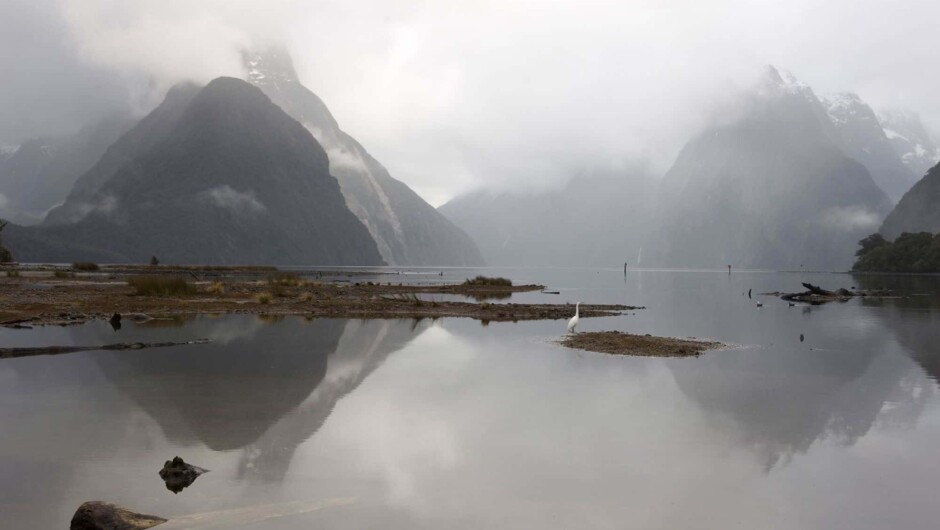 Milford Sound