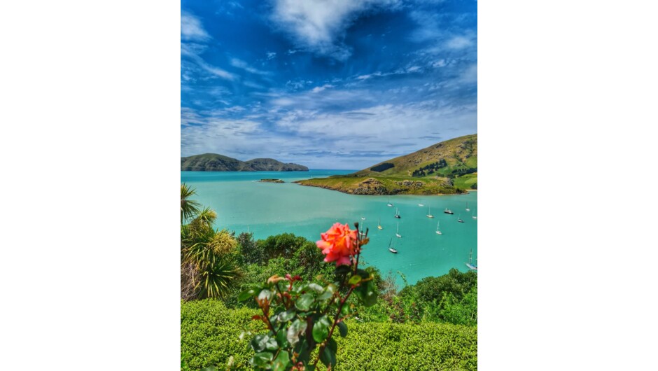 Sublime views