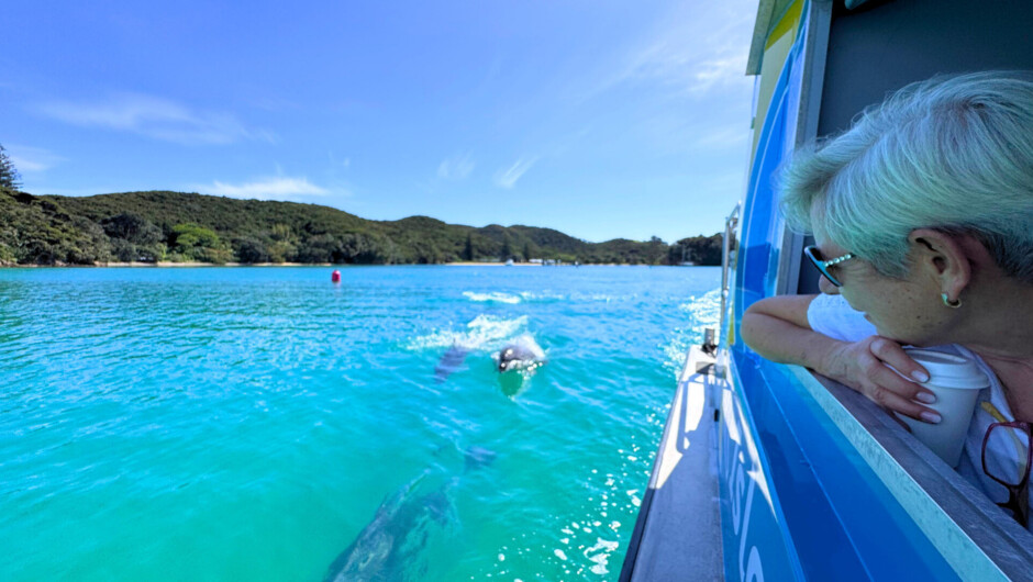 Private cruise in the Bay of Islands