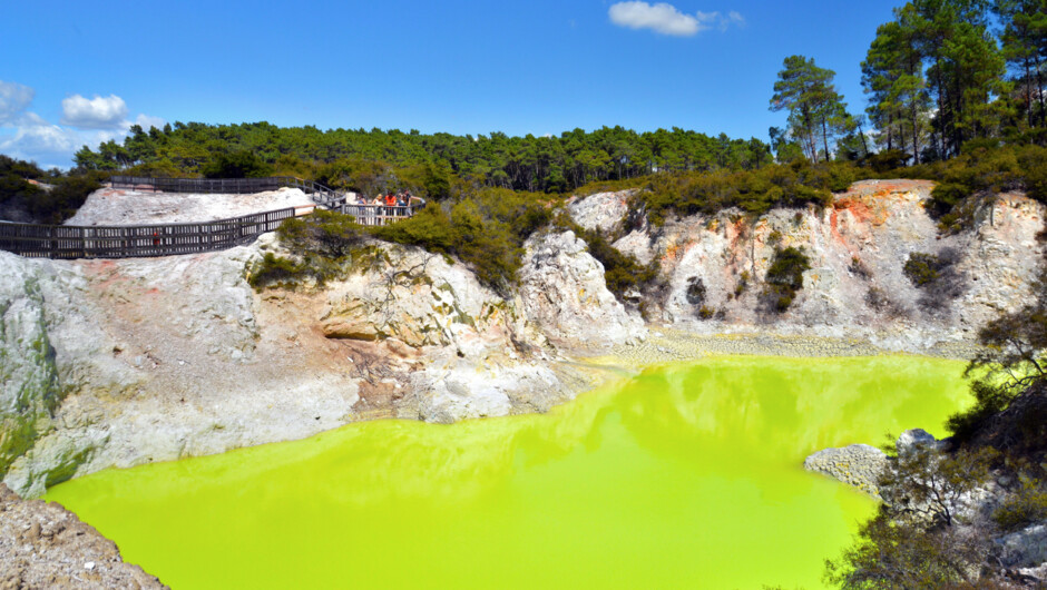 Private guided tour, Wai-O-Tapu, Rotorua