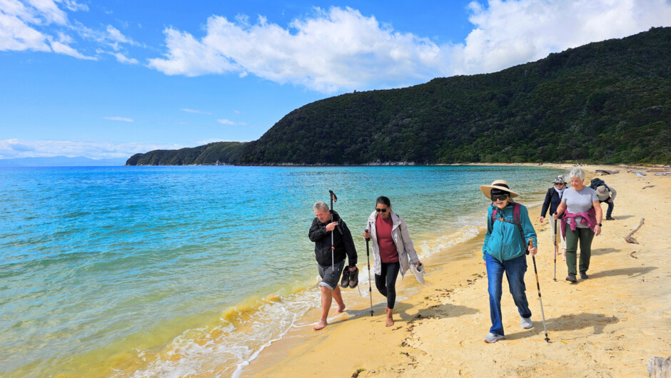 Guided walk in the Abel Tasman National Park