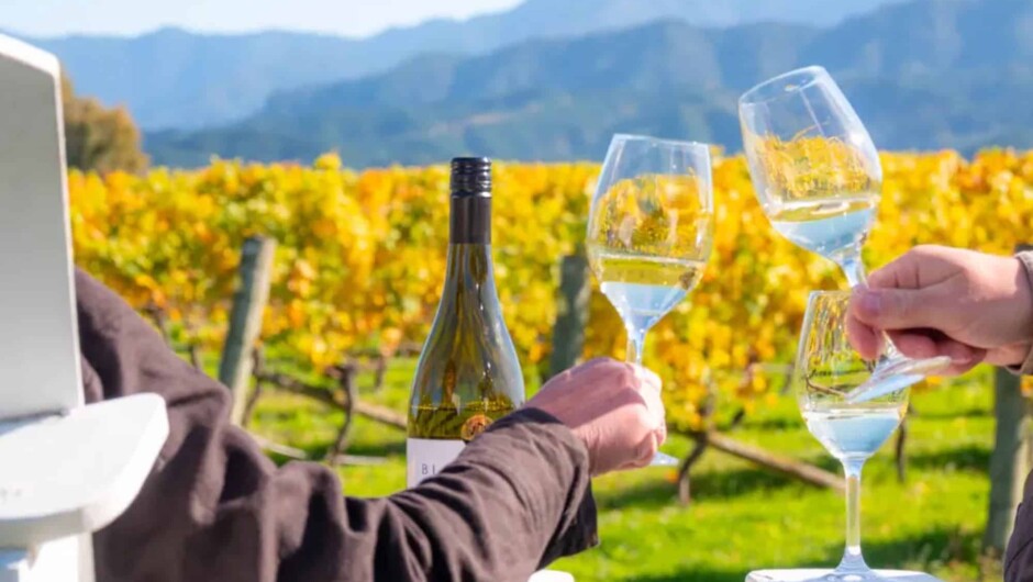 Marlborough Vineyard Wine