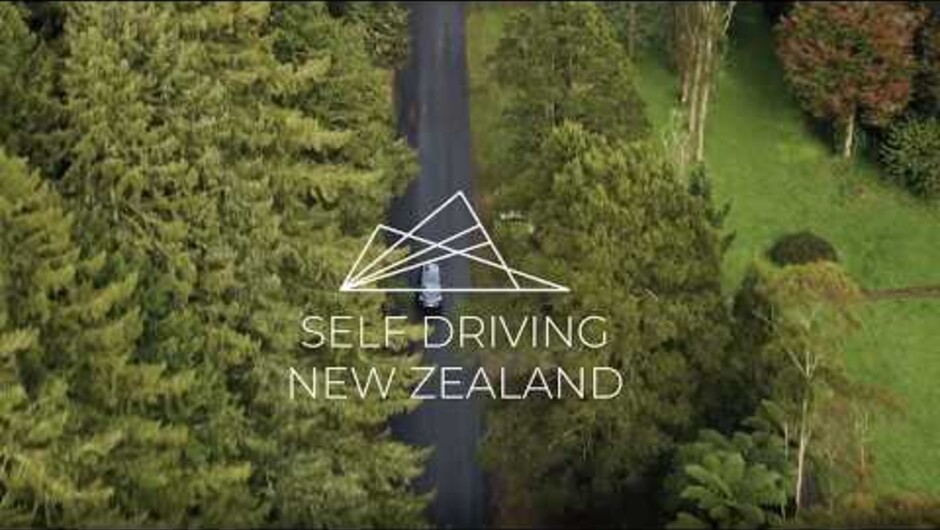 Experience a self-driving tour in New Zealand