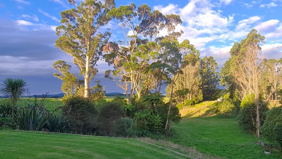 Surrounding views