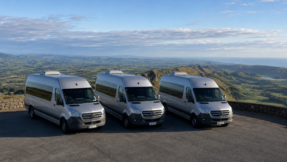 Mercedes Sprinters at Te Mata Peak