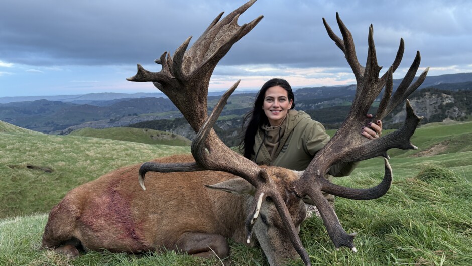 Red Stag 450-475"