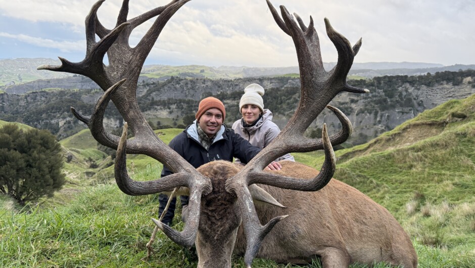 Red Stag 400-425"