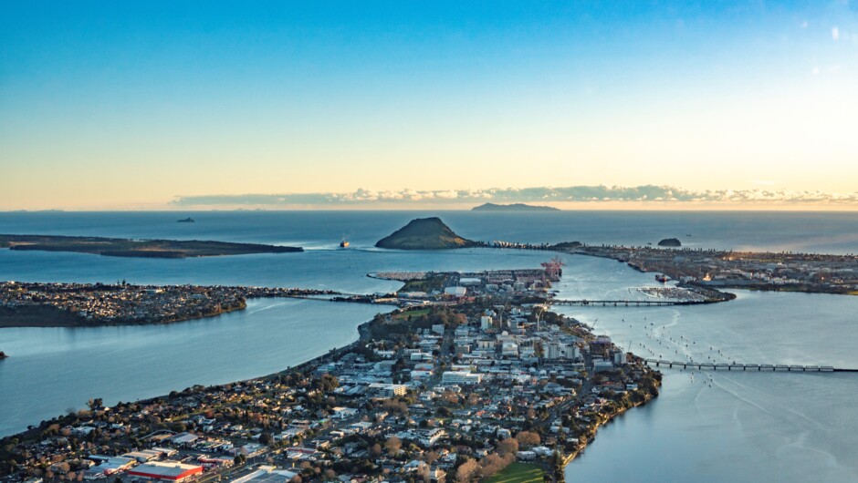 Te Papa Peninsula aerial view