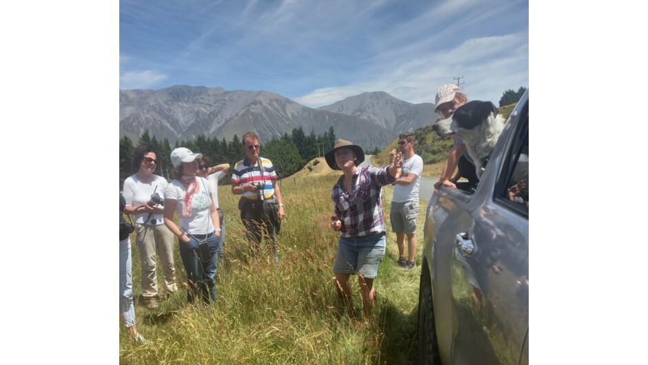 Discussing the management of the sheep dogs.