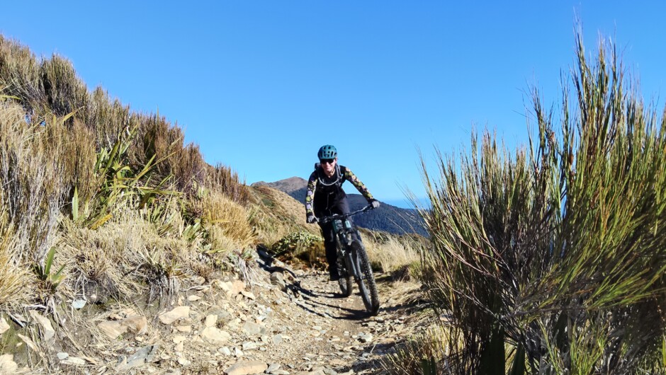 Bucket-list trails including the world famous Old Ghost Road.
