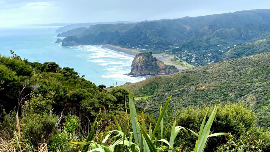 View over Piha - AUckland's west coast