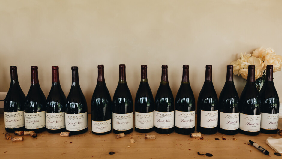 Ata Rangi Point Noir Magnums - line up