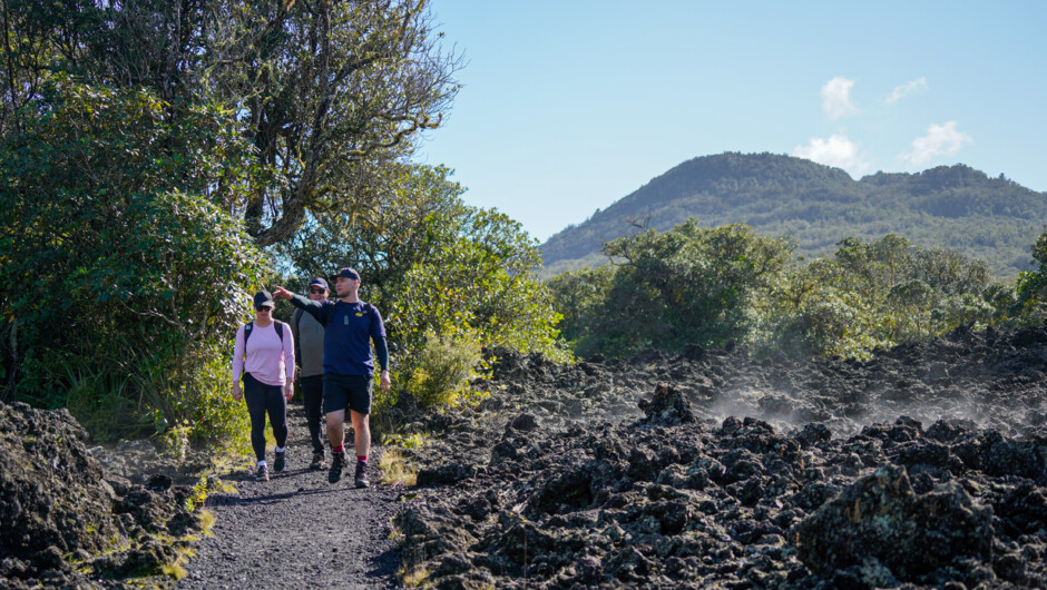 Epic volcanic landscapes and plateaus on Rangitoto Island. Explore them on a guided hike and learn about the Auckland volcanic field.