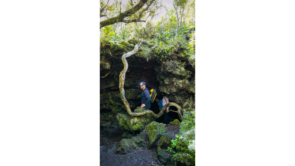 Exploring the lava tubes on Rangitoto Island on a Guided Hike.