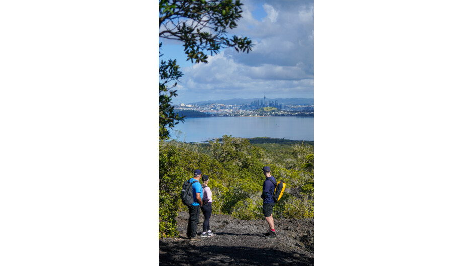 Checking out the city views of Auckland on a guided hike of Rangitoto Island