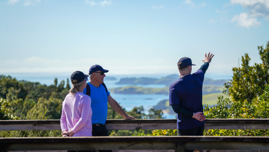 View from the summit on a guided hike of Rangitoto Island