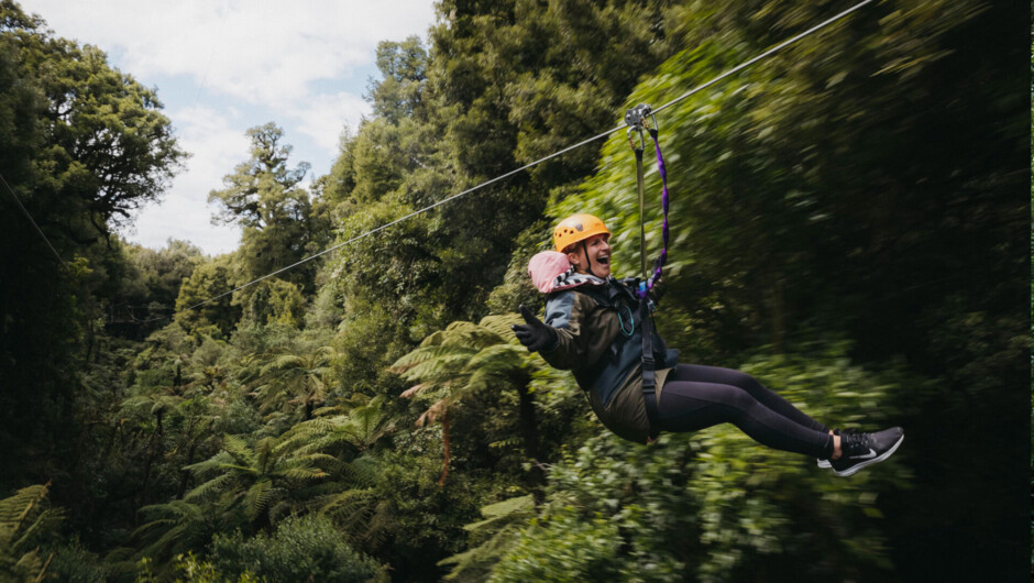 Zipline into an ancient forest in Rotorua