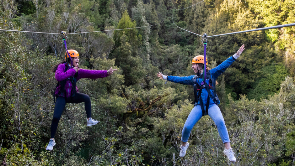 Zipline race down a 400 metre tandem zipline