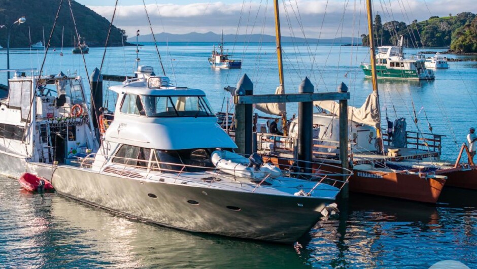 Young Guns - Mangonui Wharf