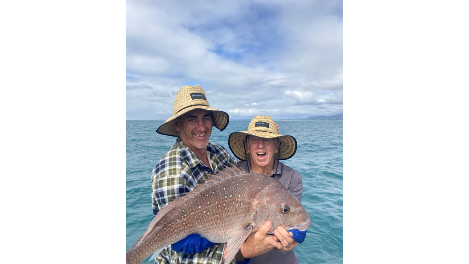 Snappers on