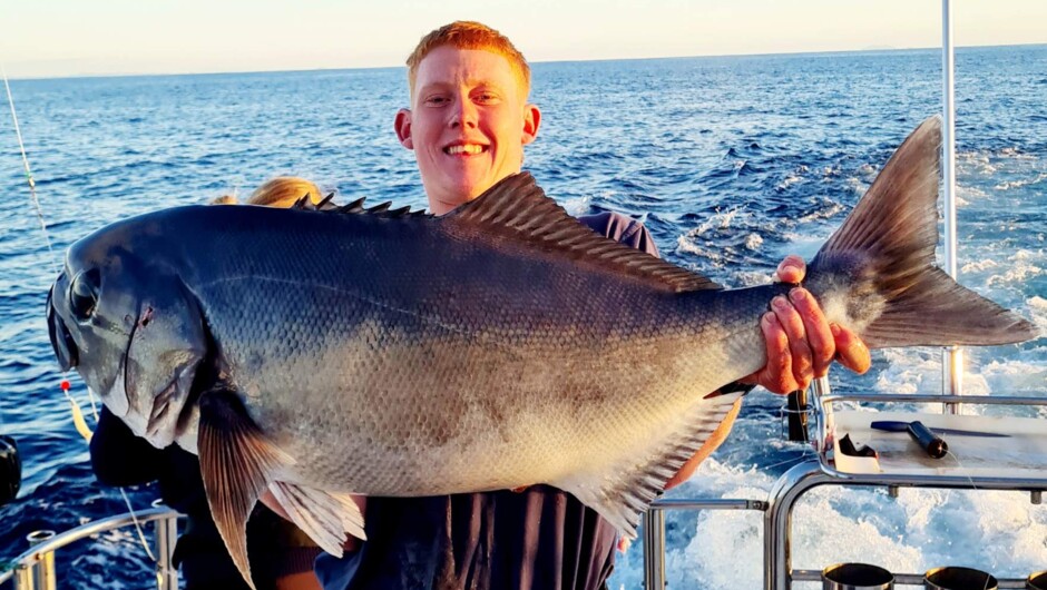 Beauty Fish