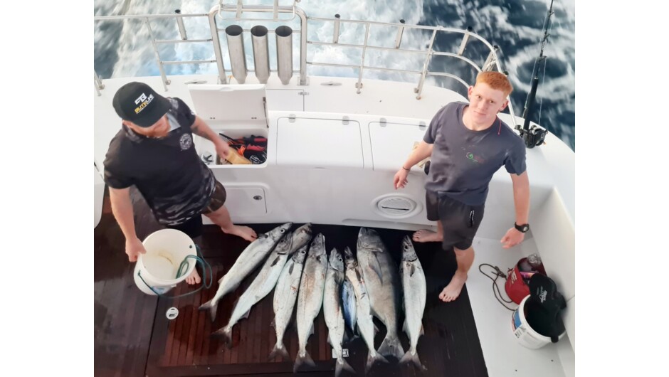 Gemfish
