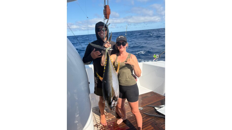 Yellow Fin Tuna