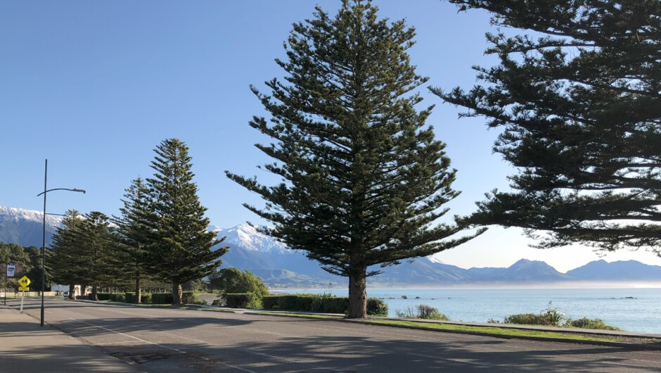 Kaikōura waterfront for a lunch stop on a Guided road tour with Rideabikenz.