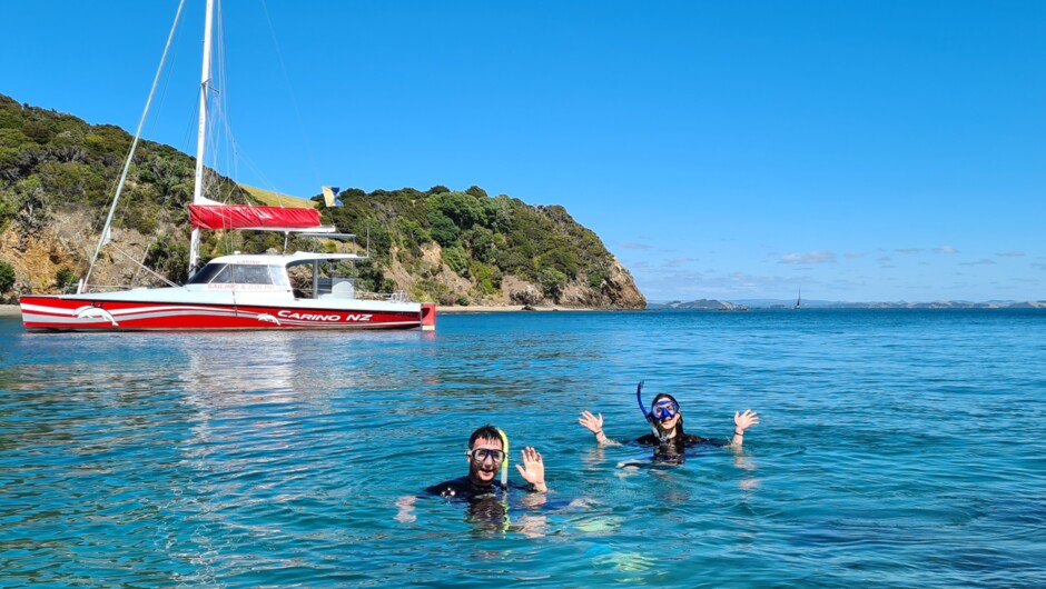 Snorkelling in a sheltered Bay of Islands bay, with Carino NZ anchored nearby after a morning on the water.
