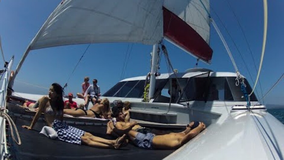 Carino Wildlife Cruises and Qualmark