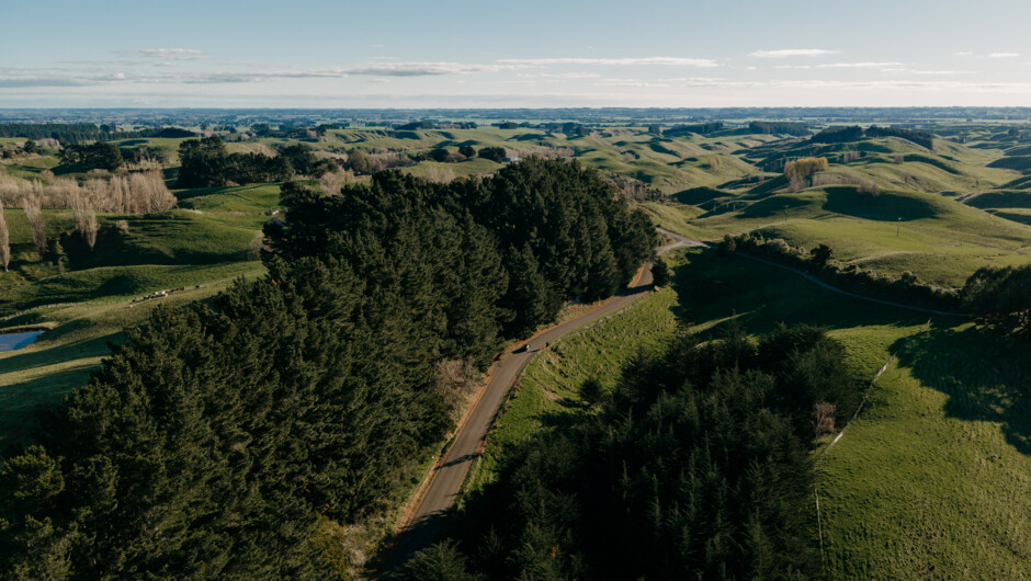 Rolling Hills