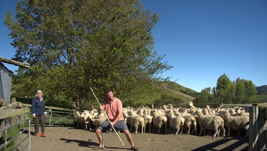 A Day on Birchwood Farm with Farmer John &amp; Kristin: Private Farm Tour having fun bringing in the sheep
