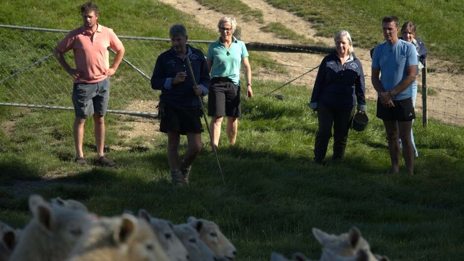 A Day on Birchwood Farm with Farmer John &amp; Kristin: Watching &amp; having a go with a whistle bringing sheep up with the farm dogs