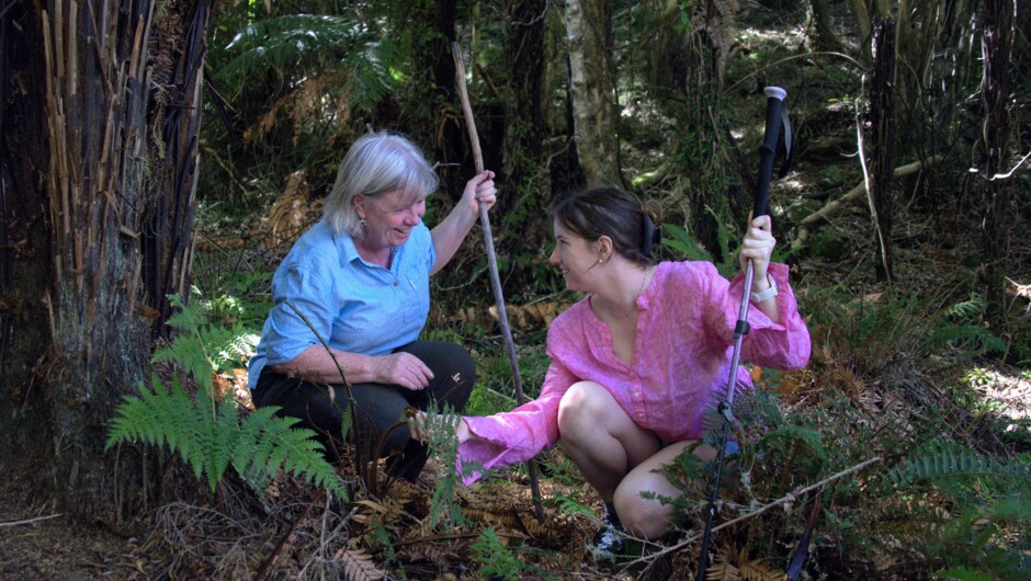 Ancient 2,000 year Old Totara Experience hike learning &amp; discovering