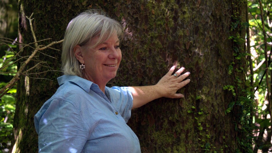 Ancient 2,000 year Old Totara Experience hear our stories