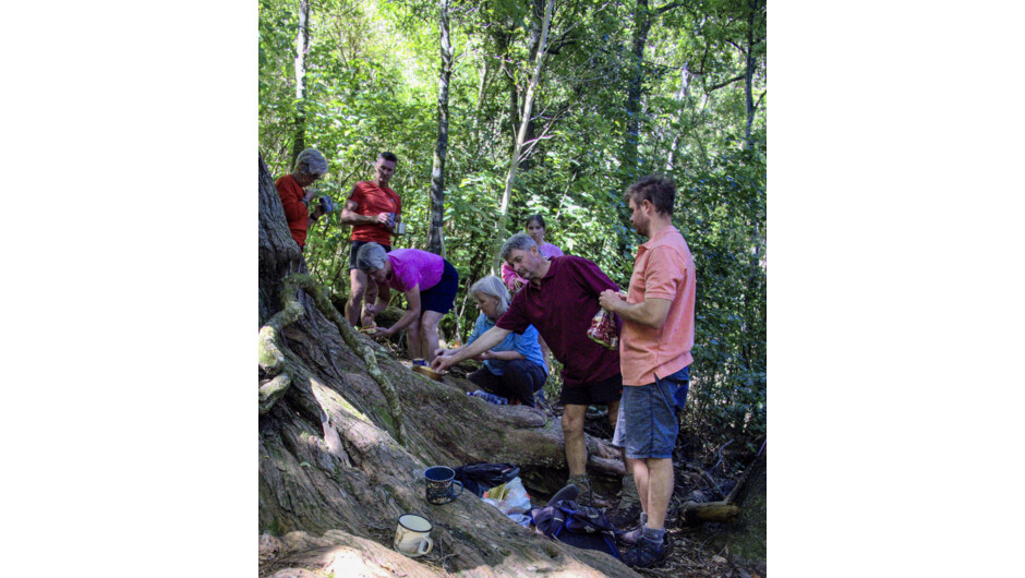 Spend time with a 2000 year old tree