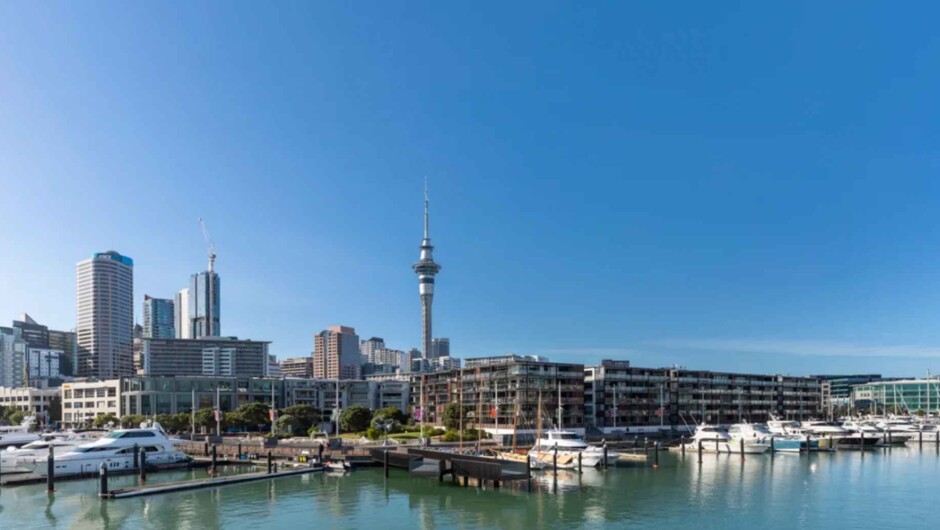 Auckland Tour