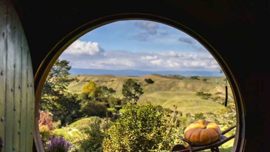 Hobbiton Movie Set Tour