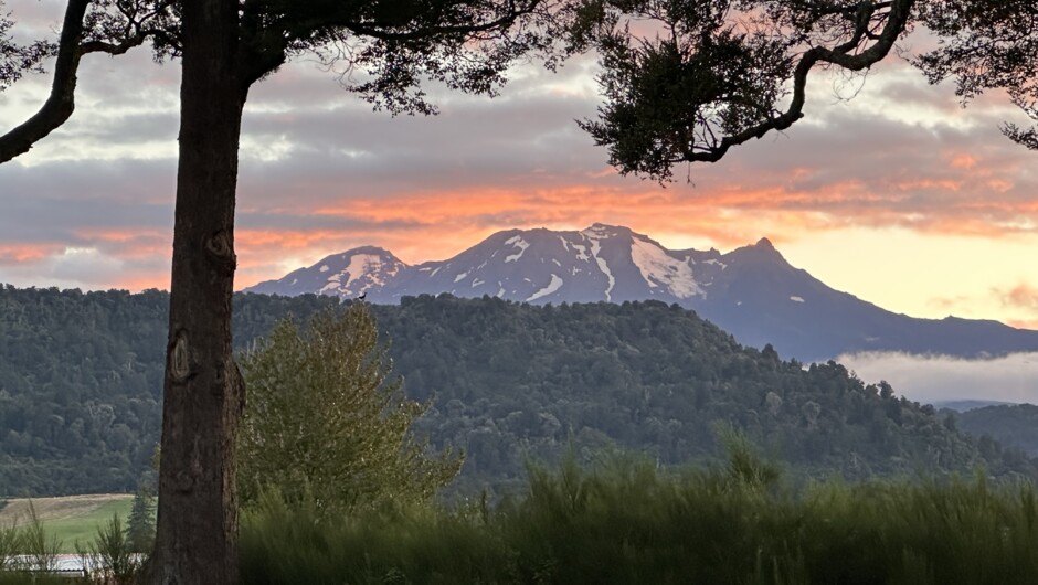 Sunrise over Mt Ruapehu from Two Rivers Ohakune.  In the near ground, the Tongariro National Park rises to meet Ruapehu.
