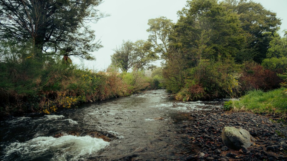 Where two mountain streams meet, surrounded by forest and birdsong, you'll discover the peaceful setting that inspired the name Two Rivers.