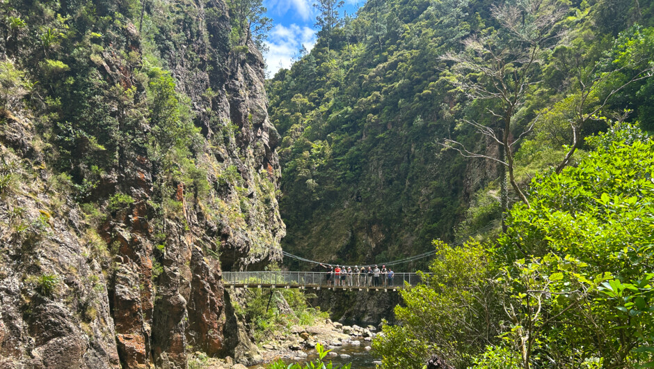 Hike Karangahake Gorge.