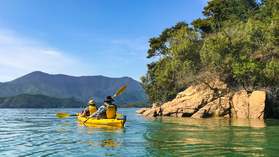 Kayak in Charlotte Sound.
