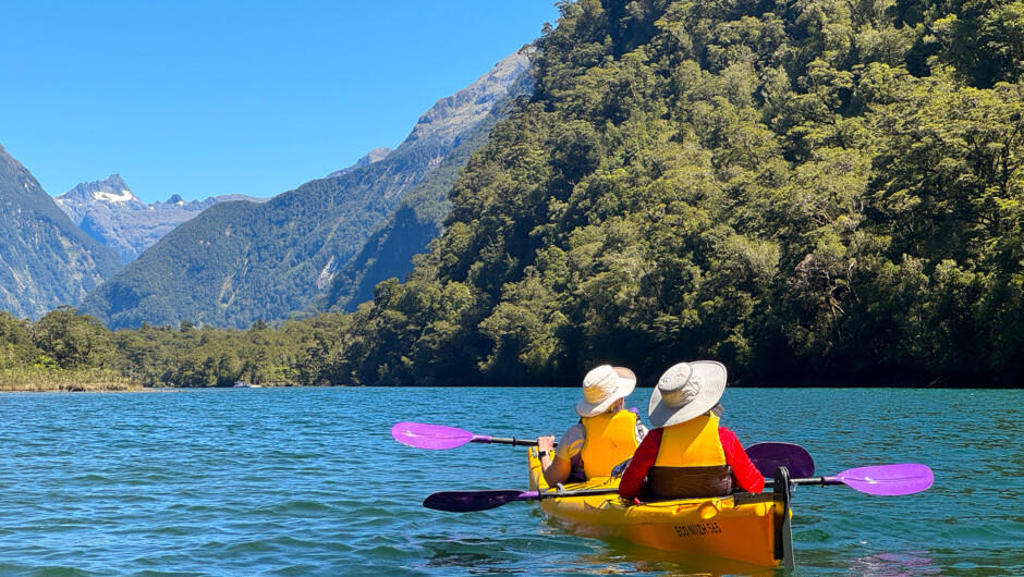 Kayak in Fiordland National Park.