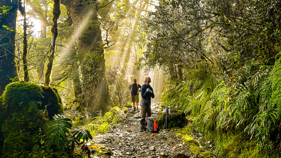 Explore the Kepler Track.